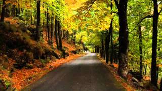 Gal Costa - Jogada pelo mundo .... Os Caminhos da Vida