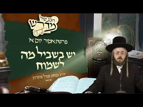 רגע של מדרש - יום א' פרשת אמור