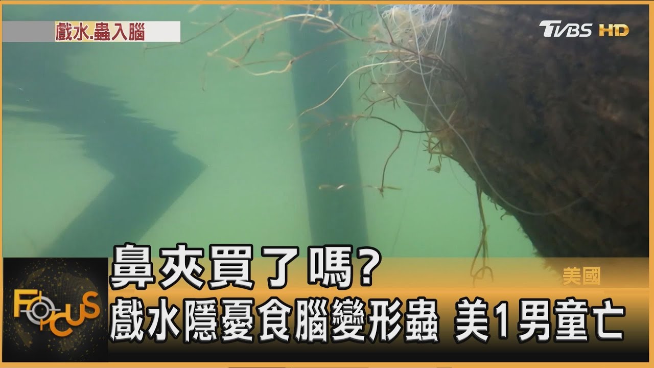 鼻夾買了嗎?戲水隱憂食腦變形蟲 美男童亡