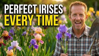Iris | How to Divide, Plant, Fertilize, and Prune