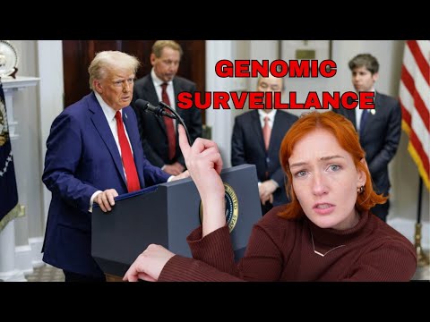 Stargate LLC: An American AI Project. Kind of.