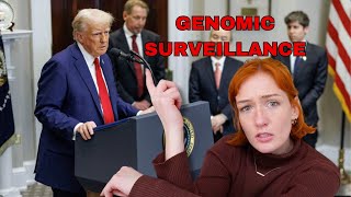 Stargate LLC: An American AI Project. Kind of.