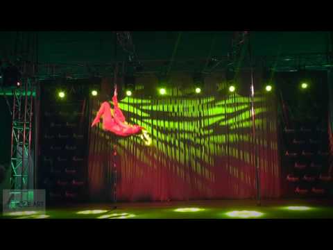 POLE ART EXPERIENCE | Nadia Poplavska | kat. SEMI PRO