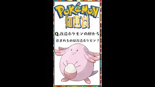 改造ポケモンを使った孵化はアウト？？？【ポケモン剣盾】