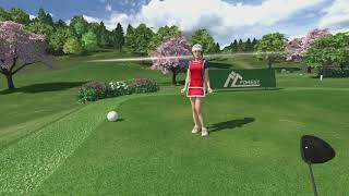 Everybody's Golf VR (PS4) PSN Key EUROPE