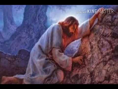 Ele Assumiu Nossas Dores - Católica