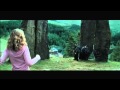 Hermione Punches Malfoy Full Scene