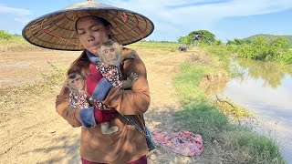 smart DuDu and BiBi babies monkey with mother the morning