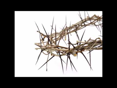 Sweet mercies - Vineyard