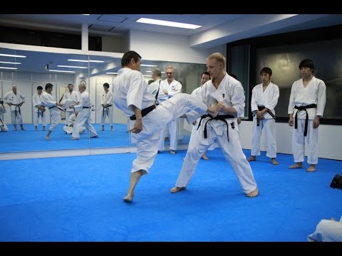 Mikio Yahara: Mae Geri. Training in KWF Honbu Dojo 2012