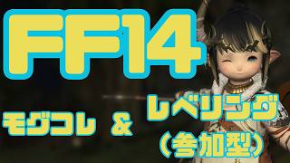 【 #FF14 】( #アーカイブ ) モグコレとちょっとのルレ！