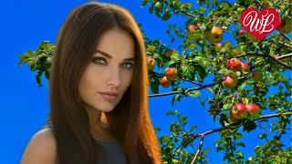 ЯБЛОЧКО ♥ ЗАВОДНОЙ ШАНСОН ♥  МУЗЫКА В ДОРОГУ ♥ НЕ УСНИ ЗА РУЛЕМ ♥ WLV ♥ RUSSIAN MUSIC