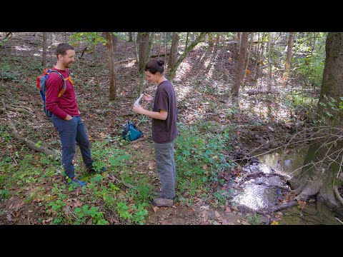Environmental data science student gets a head start on research