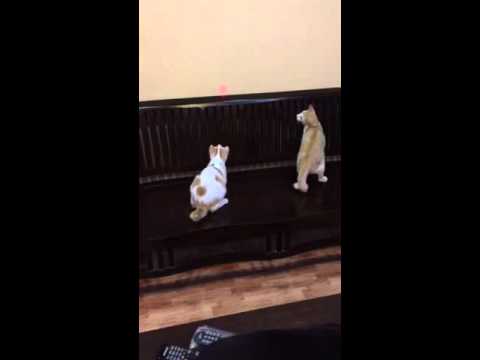 Nihaal n Naylaa on the seat