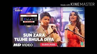 Sun Zara /Tujhe Bhula Diya Song | T-Series Mixtape | Shaan | Shruti Pathak | Bhushan Kumar