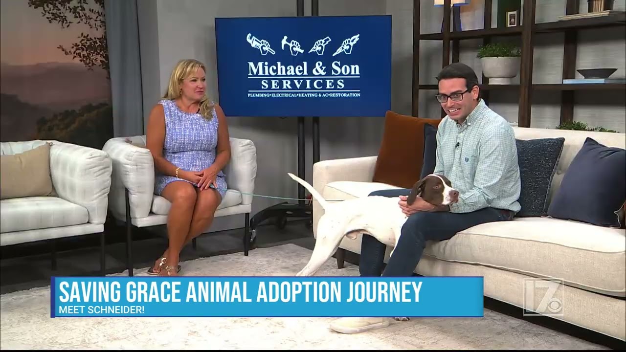 Enlarge Schneider, a Adoptable Pointer in Wake Forest, NC video 6/6