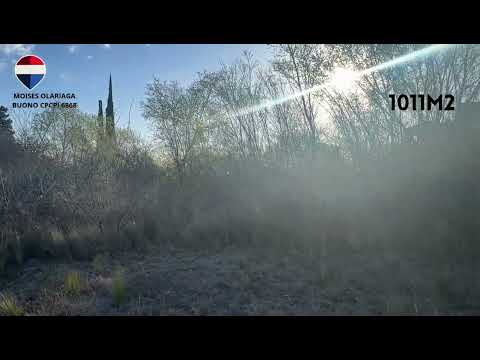 VENTA LOTE BIALET MASSE
