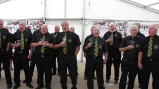 Newquay Fish Festival - Trelawny