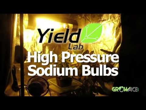 HPS Grow Bulb Review: Yield Lab High Pressure Sodium HPS Bulb Hydroponics GrowAce.com