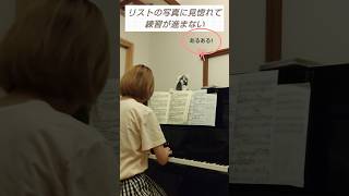 Download lagu 【あるある】フランツ・リスト好きが共感すること mp3 Download lagu 【あるある】フランツ・リスト好きが共感すること mp3