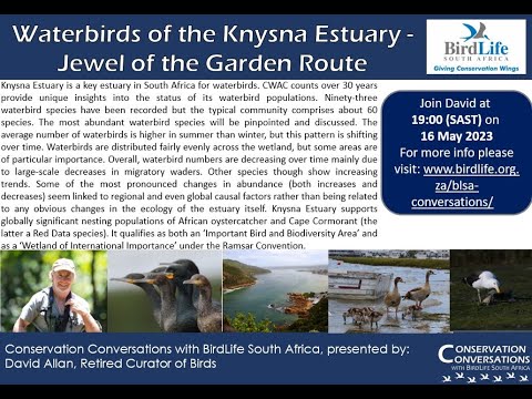 Conservation Conversations: Waterbirds of the Knysna Estuary - David Allan (16May2023)