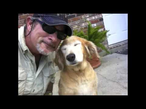 When Every Day is Dog Day