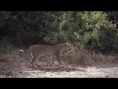 Camp Savuti | East Cape Tours