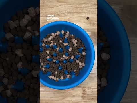 Head to Open Farm and try their new RawMix kibble! 💚🐾 #thebkpets #openfarmpet #openfarmpartner