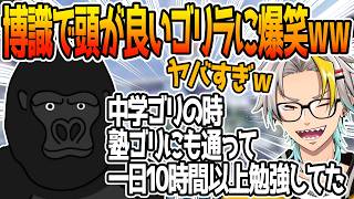 学力テスト1位のゴリラが勉強熱心だったことに驚く歌衣メイカ【歌衣メイカ/バーチャルゴリラ/小雀とと】