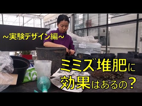 自然界でミミズが見つかる場所 ミミズ堆肥