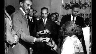 Bunny Lion - Jubilation