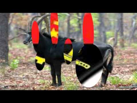 puto portugues ft nacobeta - la na minha banda