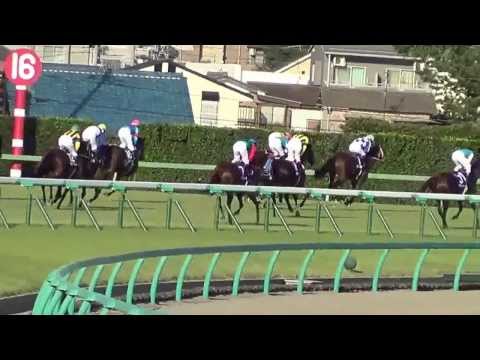 2013/9/29 スプリンターズステークス ロードカナロア Sprinters Stakes Lord Kanaloa