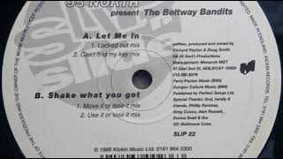 95 North  ‎– Shake What You Got (Use It Or Lose It Mix)