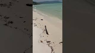 Sok san beach