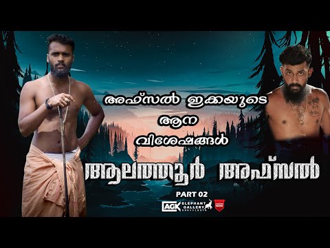 അഫ്‌സൽ ഇക്കയുടെ ആന വിശേഷങ്ങൾ I PART 02