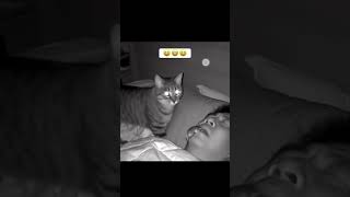 Cat Brings Dead Mouse Gift to Sleeping Owner#cats #funny #viral #pets #Rat #mouse #hilarious