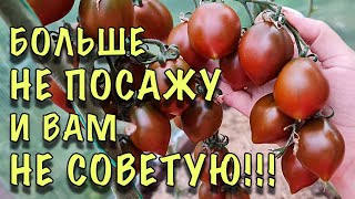 Томаты Хан Описание Сорта Фото Отзывы Томаты Хан Описание Сорта Фото Отзывы