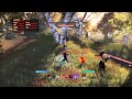 The Elder Scrolls Online - Bouncing enemy ...
