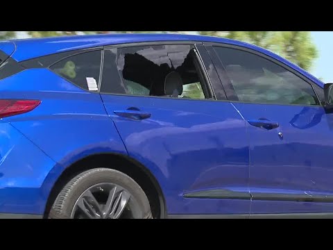 Deadly shootout erupts in FL while attempting to serve warrant to 2009 murder suspect from NY