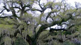 SPRINGTIME IN MY WORLD ~  PEOPLE MAKE THE WORLD GO ROUND ~ BOB BALDWIN