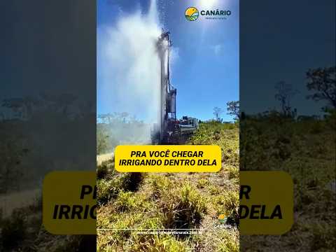 Já viu fazenda de 70% de argila à venda com preço baixo assim?