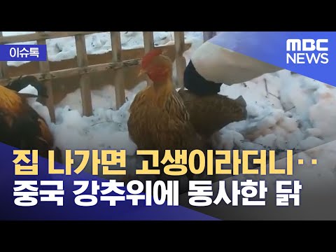 아이콘