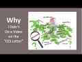 Why I Didn’t Do A Video On The “CES Letter”