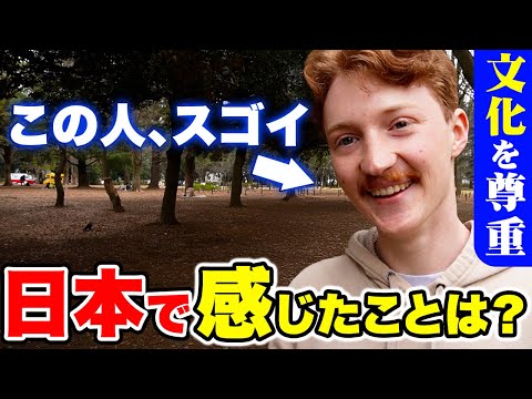 国際教養学科 「正直日本は別格…！まるで映画の世界だよ！」初来日した外国人に日本の印象や素敵な体験を聞いてみた！｜【外国人観光客にインタビュー】【海外の反応】