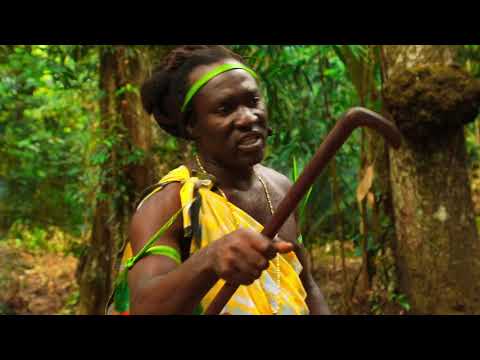 Ai Libi - Babung Golingo (Aseke doti)