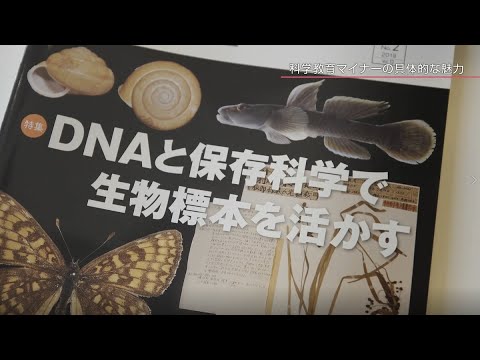 科学教育マイナー