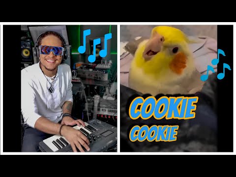 Cookie, Cookie. ft Ginger the Cockatiel: The Dancing Cockatiel Who Can Talk!