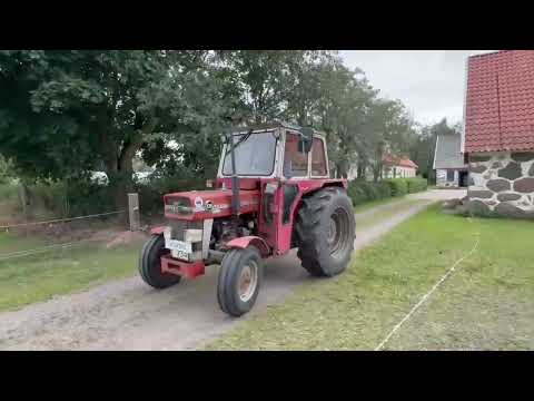 Videoklipp