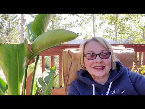 Kim Donaldson- red soil of Africa! Another one of my favorite Zimbabwean artist! CA